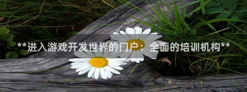 沐鸣娱乐2手机下载官网