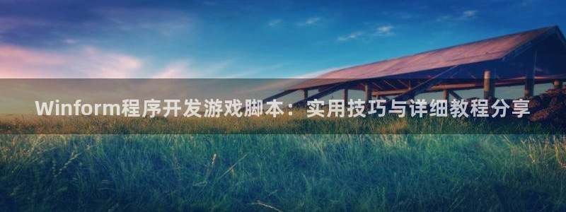 沐鸣2平台官网：Winform程序开发游戏脚本：实用技巧与详细教程分享