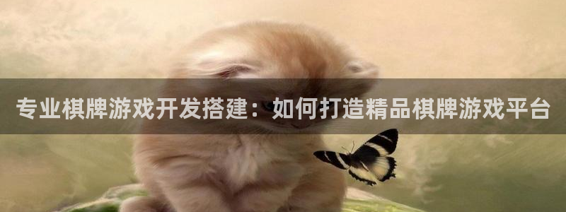 沐鸣娱乐2是干嘛的：专业棋牌游戏开发搭建：如何打造精品棋牌游戏平台