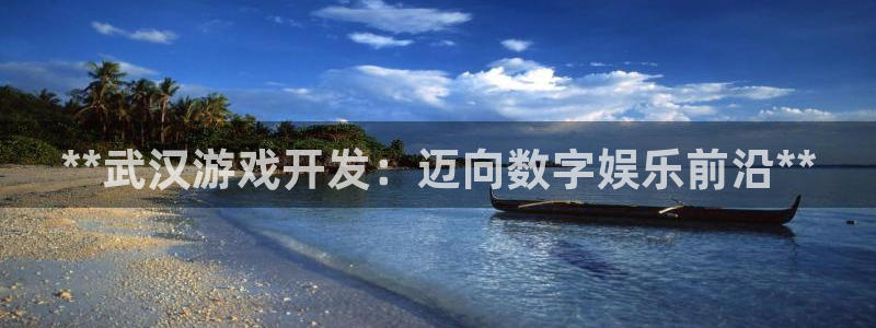 沐鸣娱乐2登录平台官网：**武汉游戏开发：迈向数字娱乐前沿**
