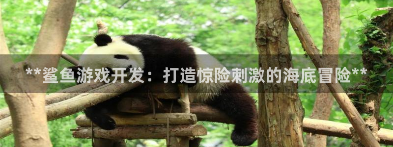 沐鸣2票35994度：**鲨鱼游戏开发：打造惊险刺激的海底冒险**
